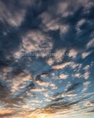 Анкета проститутки Софа - метро Дорогомилово, возраст - 22