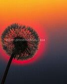 Анкета проститутки Оксана - метро Тверской, возраст - 34